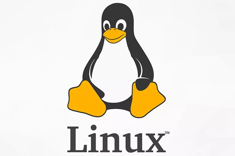 هسته لینوکس 5.16 اکنون با عملکرد بهبودیافته و تغییرات دیگر دردسترس است